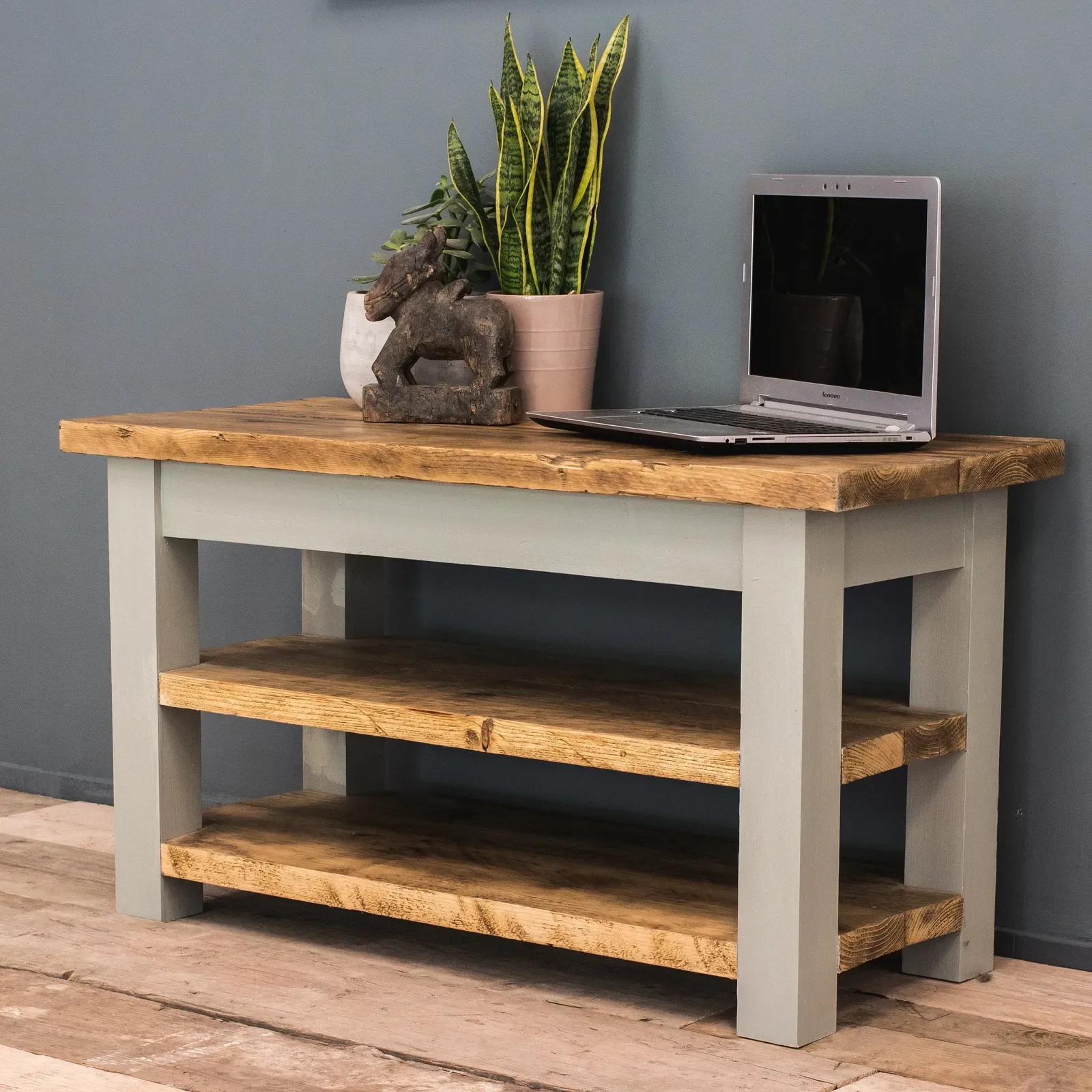 Attenborough TV unit